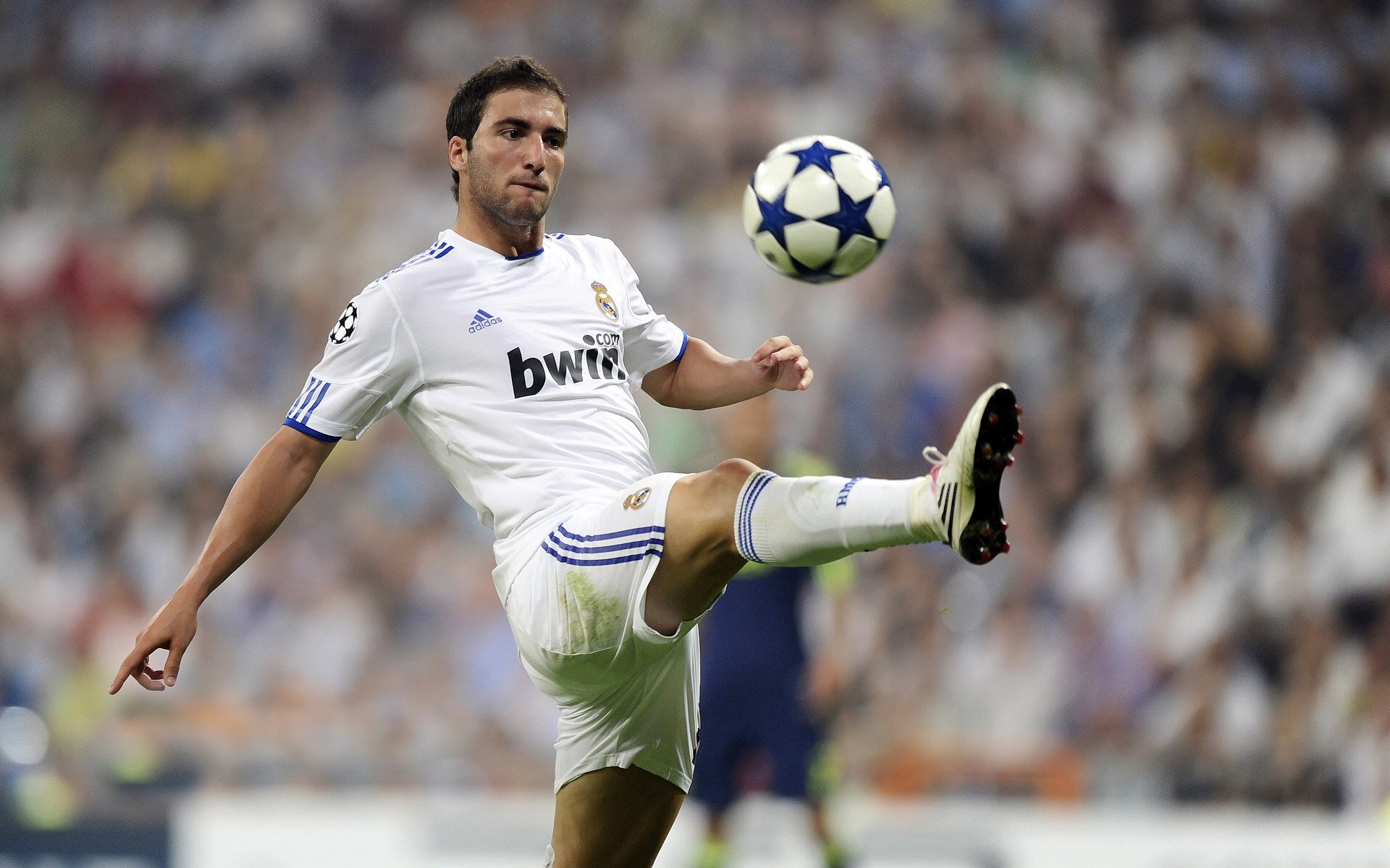 福特：随着表现不断提升，成全黑队未来的核心球员，福特黑色